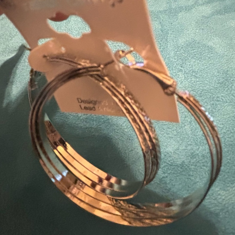 Elegant Silver Hoop Earrings